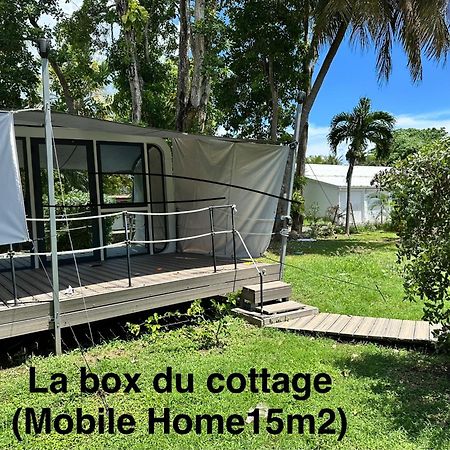 Le Cottage De Castaing Sur Plage Privee Sainte-Anne  Exterior photo