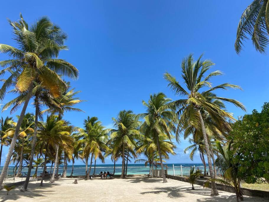 Le Cottage De Castaing Sur Plage Privee Sainte-Anne  Exterior photo